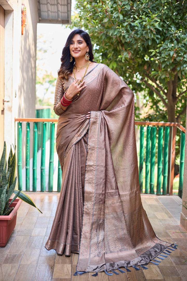 Silver Brown Soft Kubera Dharmavaram Pattu Saree - PAHRAVA