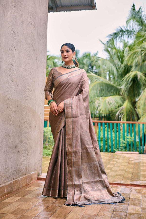 Silver Grey Soft Kubera Dharmavaram Pattu Saree - PAHRAVA