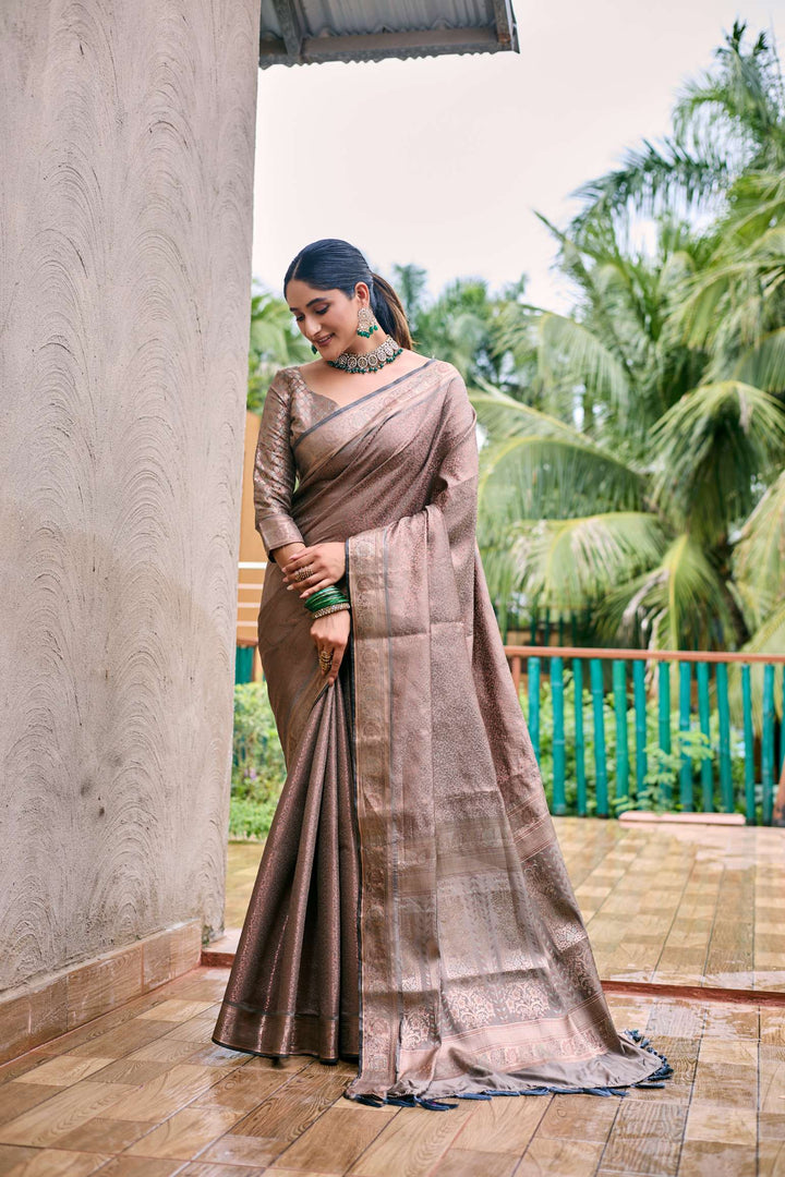 Silver Grey Soft Kubera Dharmavaram Pattu Saree - PAHRAVA