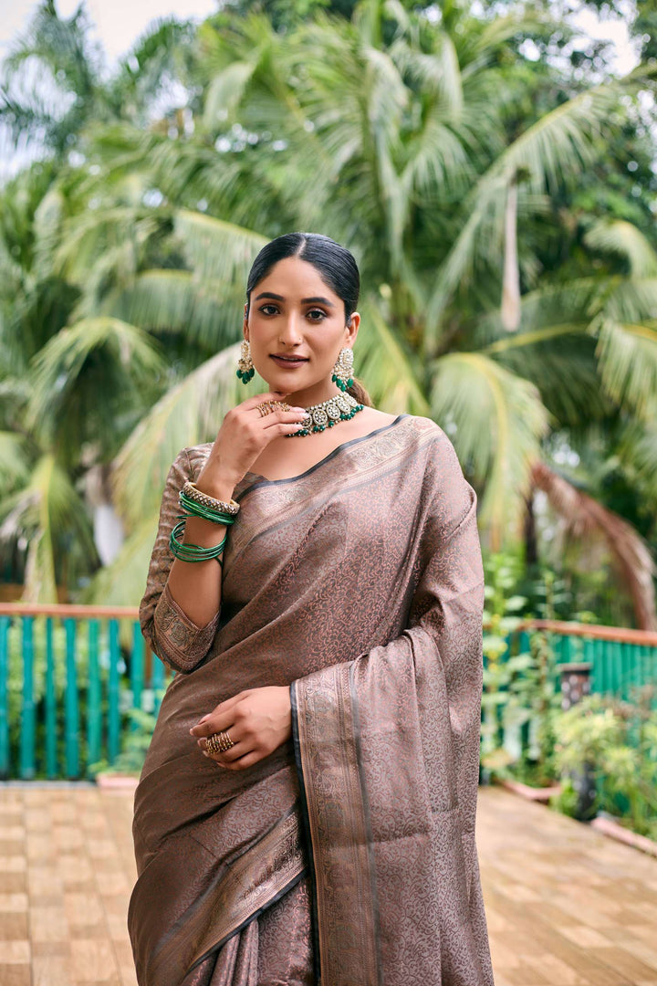 Silver Grey Soft Kubera Dharmavaram Pattu Saree - PAHRAVA