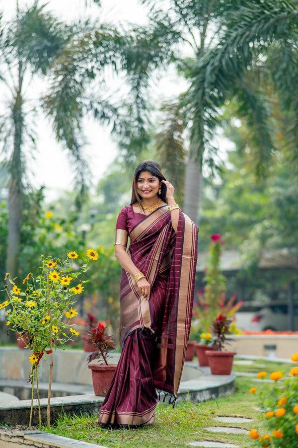 Pansy Purple Zari Lining Pattern Banarasi Raw Silk Saree.