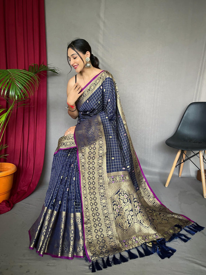 Navy Blue Kanjeevaram Handloom Silk Saree - PAHRAVA