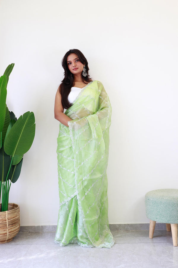 Faded Green Embroidery and Sequin Silver Work Jimmy Choo Saree.